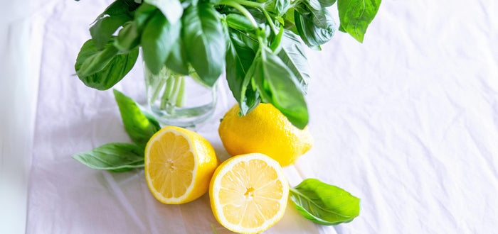 For the Love of Lemons: Celebrating All Forms of Love