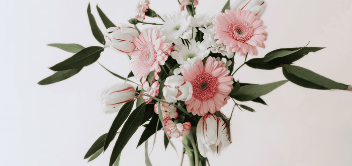 image of daisies april birth month flower example