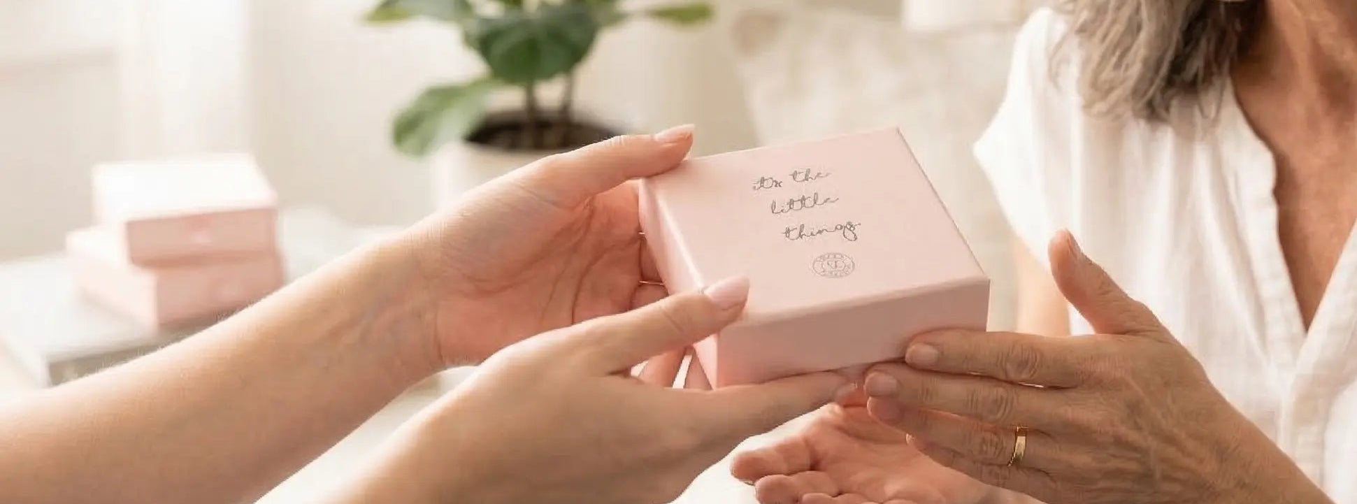 Person handing a pink Simpli Stamped gift box to another person with a plant and white wall in the background.